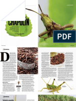 Chapulines PDF