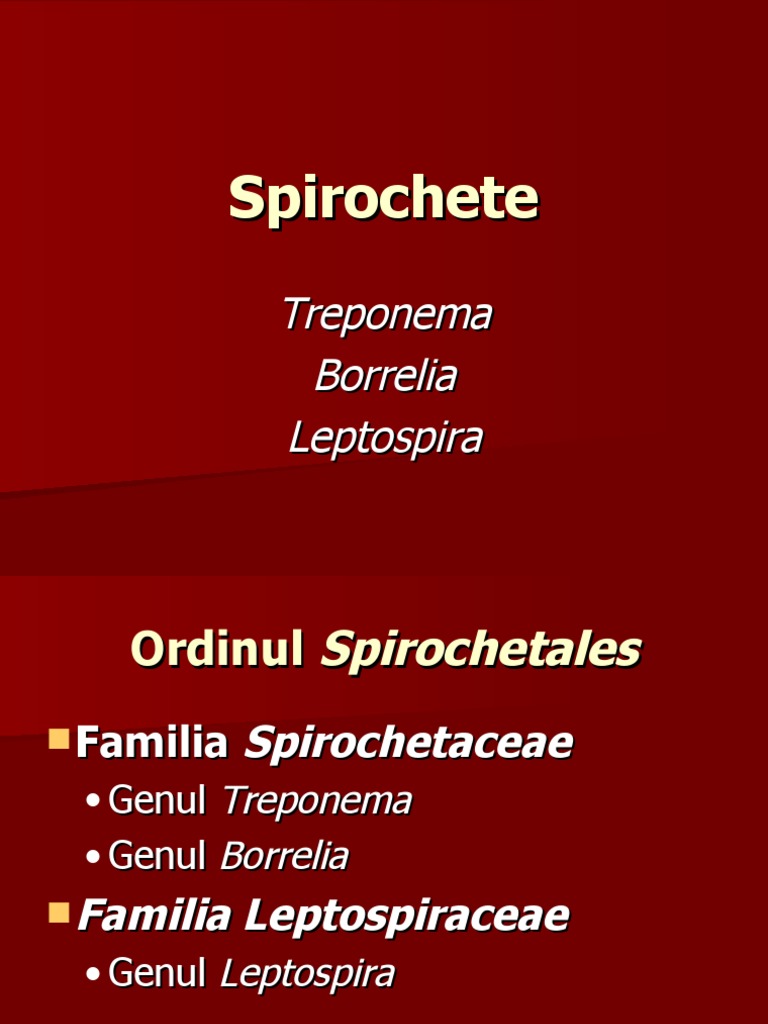 Spirochete | PDF