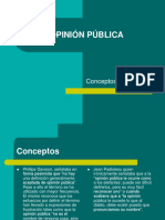 Opinion Publica 03