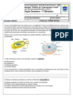 avaliacao somativa 1 bi.pdf