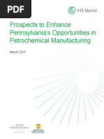 Prospects to Enhance PAs Opportunities in Petrochemical Mfng Report 21March2017