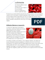 Tarea de Biologia