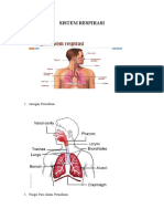 Sistem Respirasi
