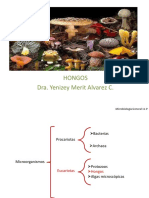 Hongos Completo PDF