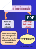 vectorizacion.pdf