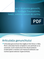 Curs 1 Anatomie Genunchi, Biomecanică, Fiziologie Traumatisme, Luxații, Entorse Leziuni de Cartilaj - Copie