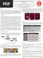 Desafios Com Palitos