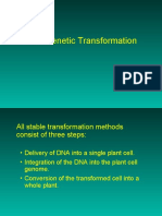 Genetic Transformation 1 2009