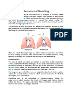 Mechanics of Breathing Explained