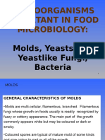 Micro Organisms Important in Food Microbiology - 29maret 2012