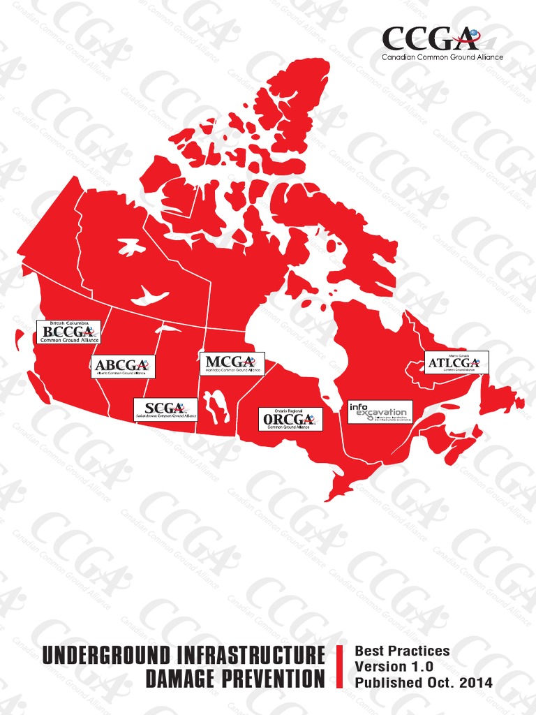 CCGA Best Practices - Volume 1.0 PDF | PDF