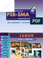 Jamur PPT 2003, Rev 2