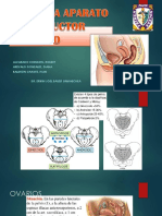 Anatomia_histologia_y_fisiologia_arf.pdf