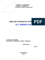 Analiza Economico-Financiara - SC Argus SA