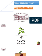 Las Plantas. 3 Años. Abril - Mayo. Blog PDF