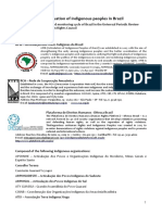 The human rights situation of indigenous peoples in Brazil.pdf