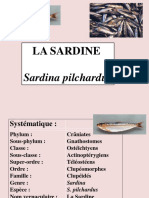 TP Sardine 2015