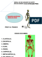 Aula Ossos Dos Mmss