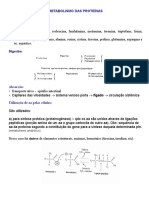 Metabolismo Das Proteínas