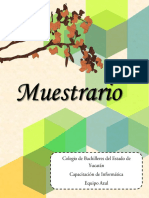 350713430 Proyecto Modulo IV Muestrario Equipo Azul PDF