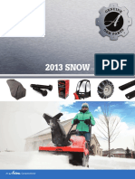 Snow SPAG_web.pdf