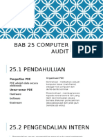 Bab 25 Computer Audit