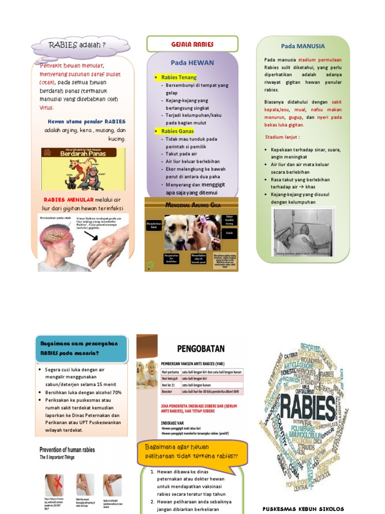 Gejala dan Pencegahan Rabies | PDF