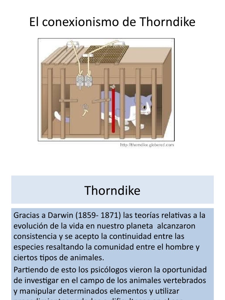 El Conexionismo de Thorndike Psicología Ciencias del comportamiento