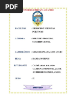 2017 Antecedentes históricos del Habeas Corpus (003).docx