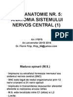 Anatomia - 5 - 2015