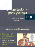 NOTES Organization and Body SystemsKD11