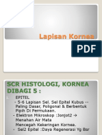 Lapisan Kornea