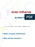 Avian Influenza