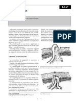 Eventracion PDF