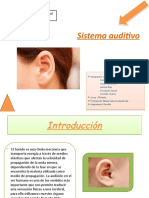 Sistema Auditivo