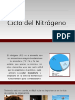 Ciclo Del Nitrógeno