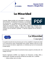 Tema 1 - La Minoridad PDF