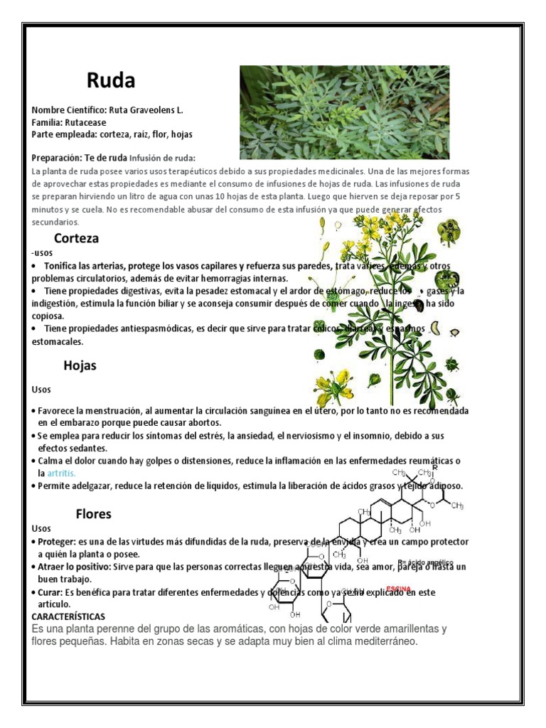 La #Ruda es una planta empleada tradicionalmente como medicamento natural,  debido a su acción sedante. Se puede utilizar también como  antiinflamatorio, - Instituto de Investigación y Capacitación  Agropecuaria, Acuícola y Forestal
