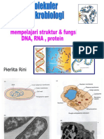 Genetika Mikrobiologi