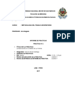 INFORME DE MTU  Nº2.docx