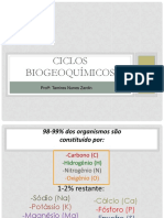 Ciclos Biogeoquímicos