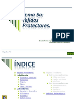 Tema 5a Protectores