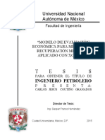 Tesis Carlos Jesus Coutiño Granados 10-Mar-15 (1)