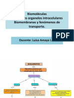 Biomoléculas PDF