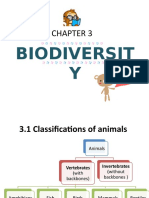 3.1 Classifications of animals.ppt