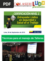 Entrenamiento ludico