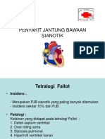 Penyakit Jantung Bawaan Sianotik