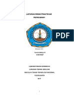 Laporan Resmi Praktikum Petrografi