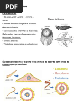 Filo dos Platelmintos e    Verminoses.ppt