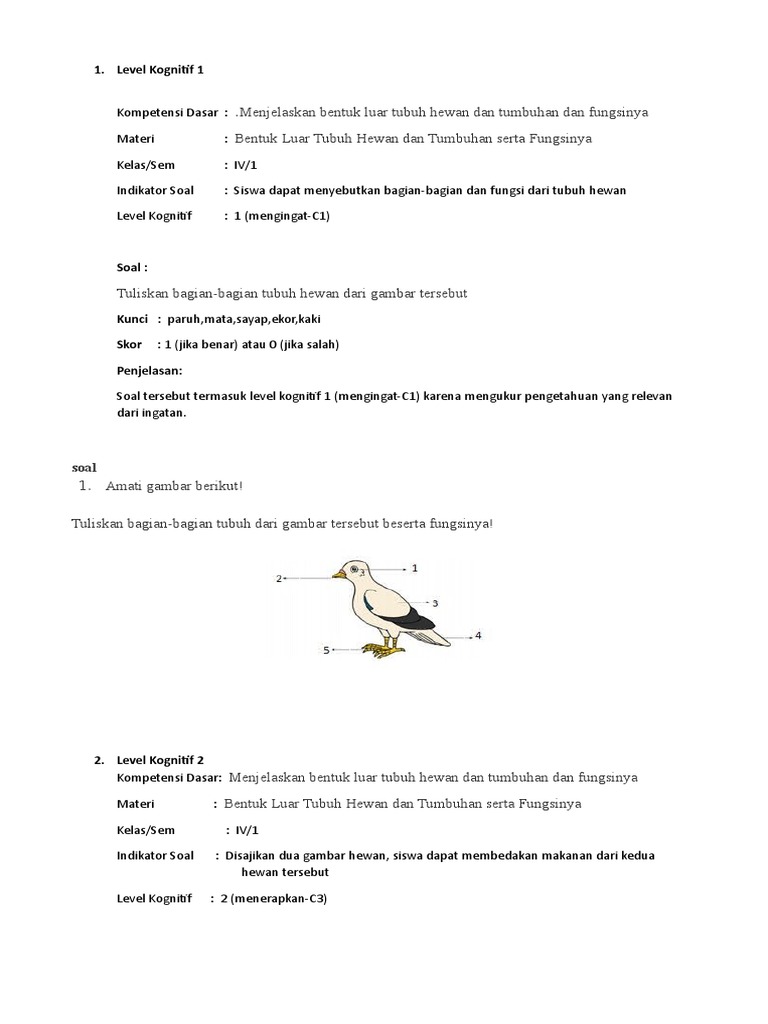 Soal Hot Tentang Bagian Bagian Tumbuhan Guru Soal